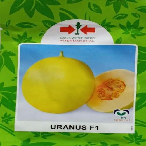 East West Uranus F1 Sweet Melon Seed |10g