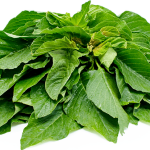 Tete Seeds African Spinach