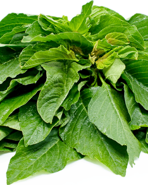 Tete Seeds African Spinach