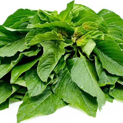 Tete Seeds African Spinach | 1 Tin