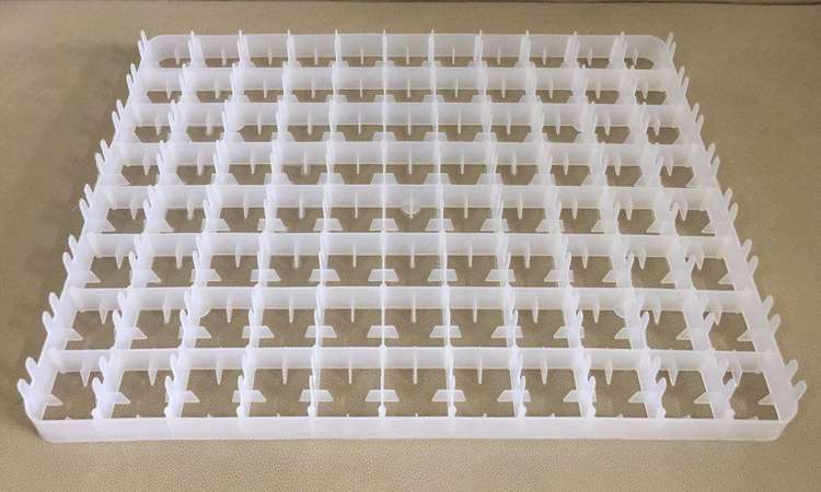 Egg Setter Tray