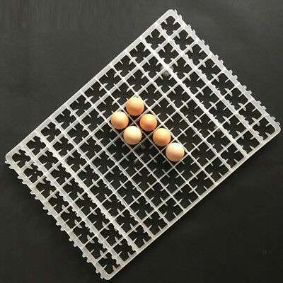 Egg Setter Tray - Image 2