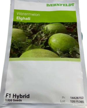 Elghali F1Watermelon Hybrid Seeds