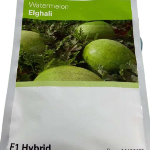 Elghali F1Watermelon Hybrid Seeds