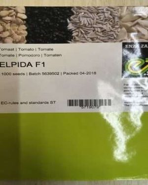 Elpida F1 Tomato Seed (1000 Seed)
