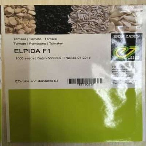 Elpida F1 Tomato Seed (1000 Seed)
