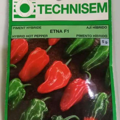 Etna F1 Hot Pepper Seeds (Technisem | 5g)