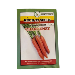 F1 Hybrid Carrot Chantenay