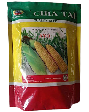 F1 Hybrid Sweet Corn Ayo