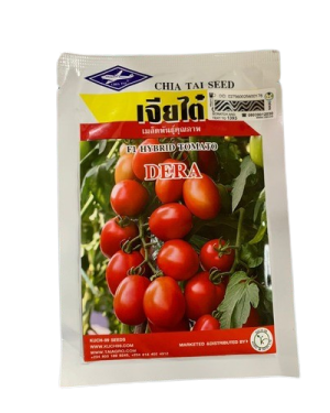 F1 Hybrid Dera Tomato