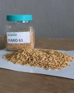 Faro 61 NERICA L 34 Rice Seeds