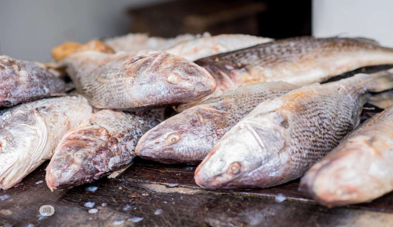 Frozen Croaker Fish