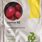 Tomato Gamhar RZ F1