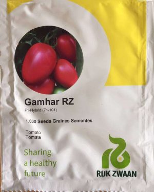 Tomato Gamhar RZ F1