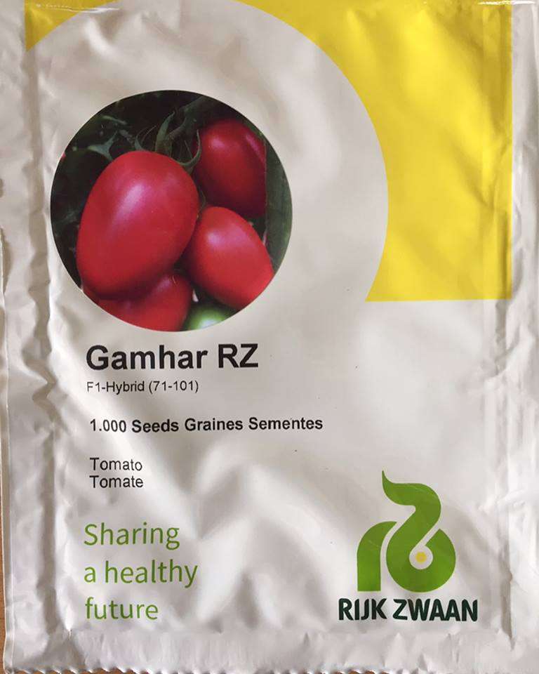 Tomato Gamhar RZ F1