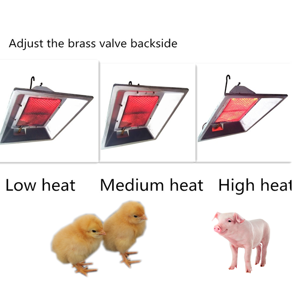 Infrared Gas Brooder (2000 Birds Capacity) - Image 3