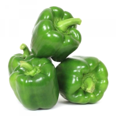 Green Bell Pepper
