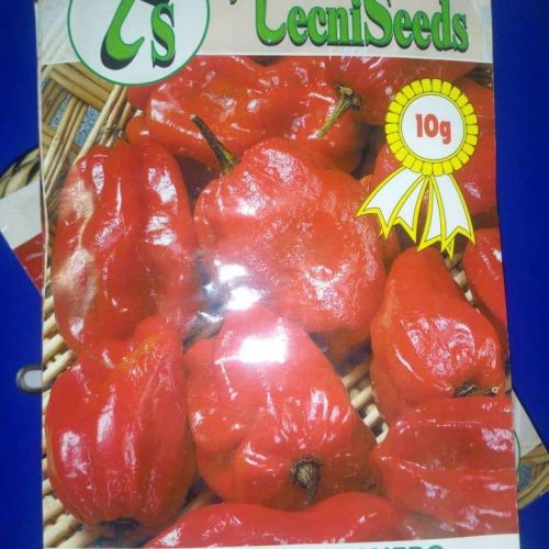 Tecni Hot Pepper Seed (10g)