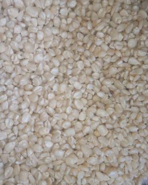 Bag of White Maize