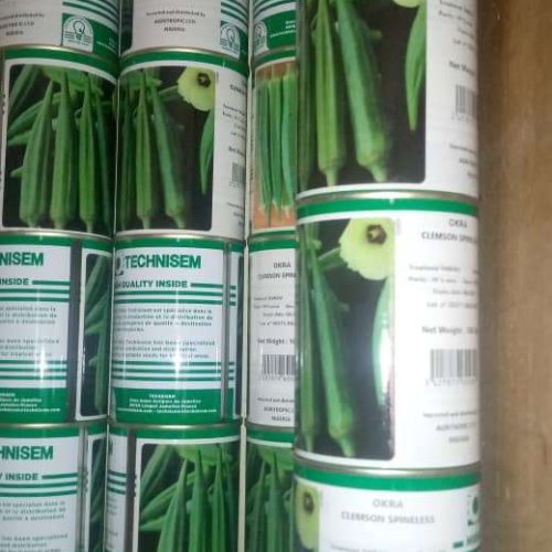 Technisem Clemson Spineless Okra Seed | 100g
