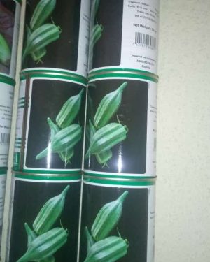 Technisem Kirikou F1 (Okra Seed)
