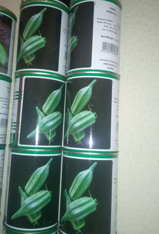 Technisem Kirikou F1 (Okra Seed)