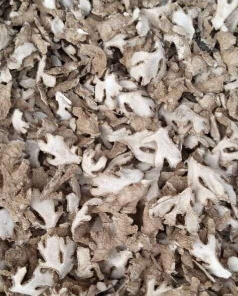 Dried Ginger | 1 Ton - Image 2