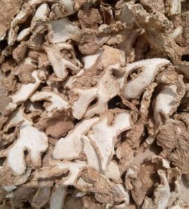 Dried Ginger | 1 Ton