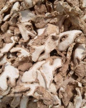 Dried Ginger | 1 Ton
