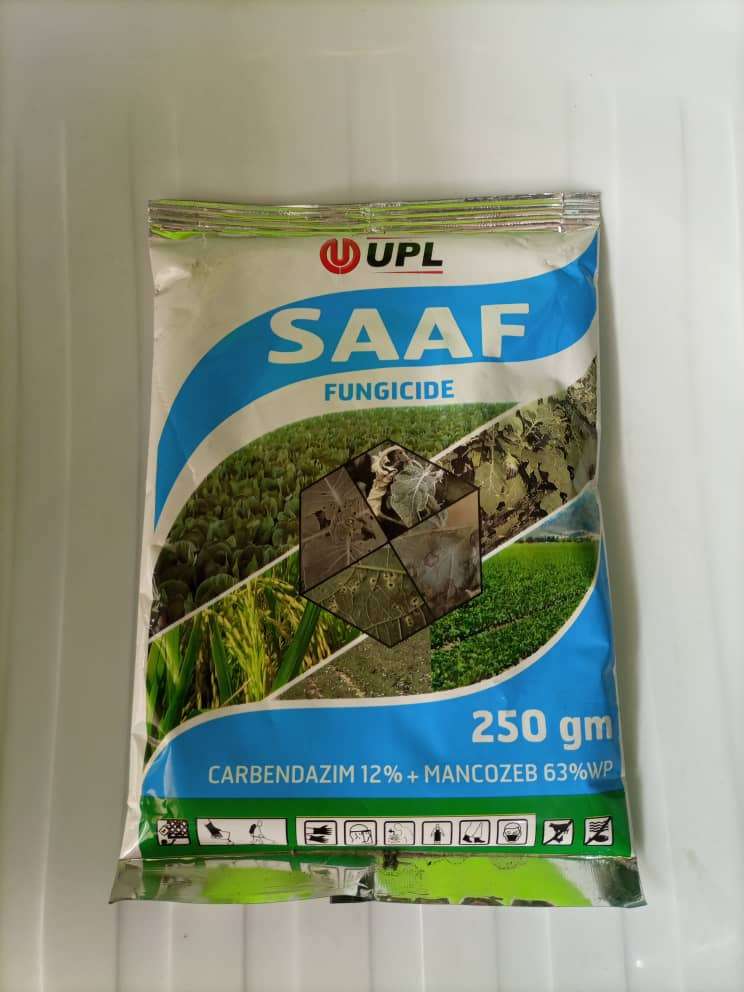 SAAF Systemic and Contact Fungicide | 250g from HTS farms