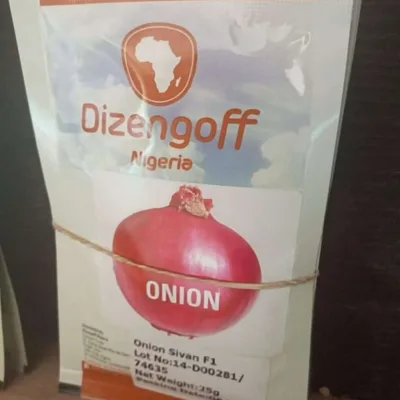 Dizengoff Onion Sivan F1 Seeds | 25g