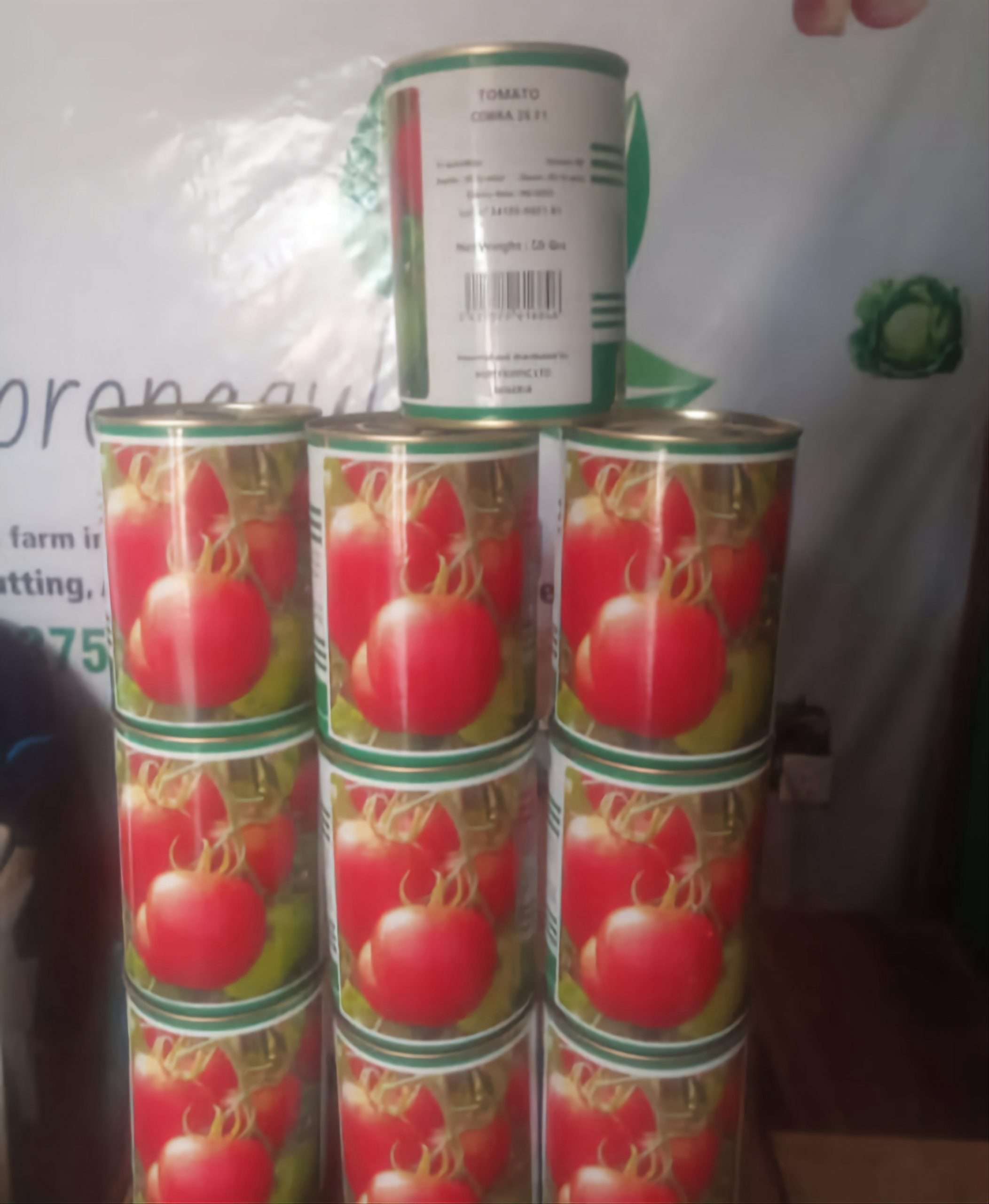 Technisem Cobra 26 F1 Tomato Seed (50g) - Image 2