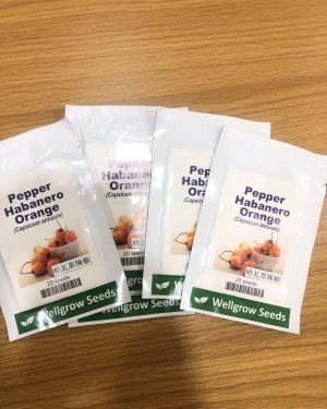 WellGrow Orange Habanero Seeds