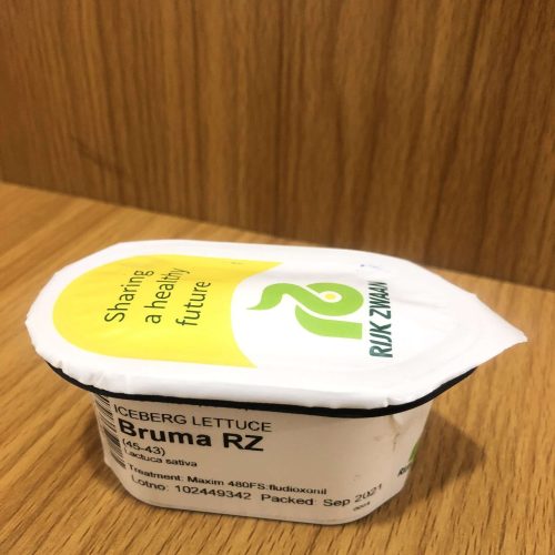 Iceberg Lettuce – Bruma RZ (1000 seeds)