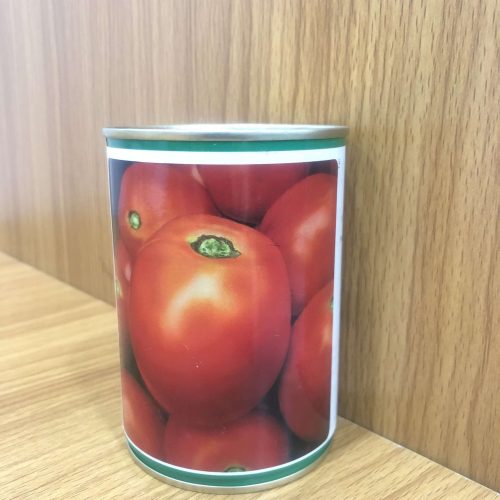 Technisem Tomato Kiara F1 Seed | 50g