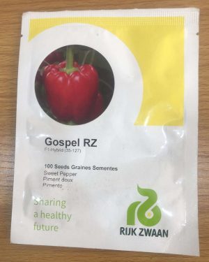 Sweet Pepper-Gospel RZ F1