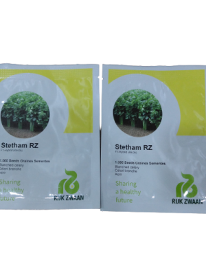Blanched Celery Green - Stetham RZ F1 [1000 Seeds]