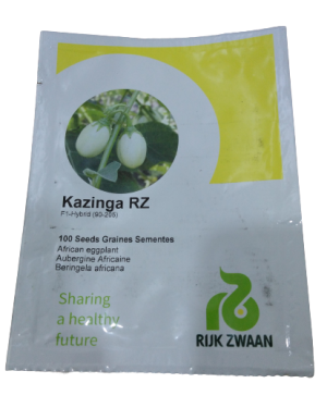 African Eggplant Kazinga RZ F1 (100 Seeds)