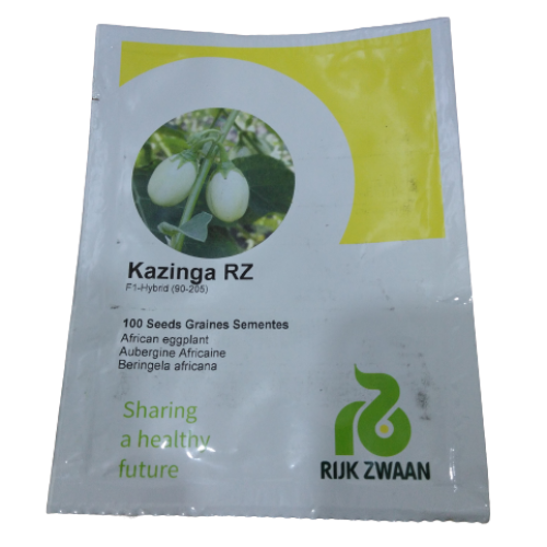 African Eggplant Kazinga RZ F1 (100 Seeds)