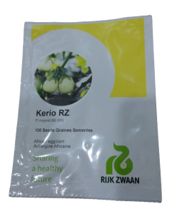 African Eggplant Keiro RZ F1 (100 Seeds)