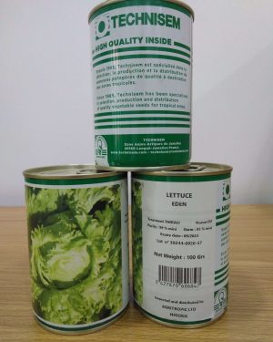 Eden Lettuce Seeds (100g)