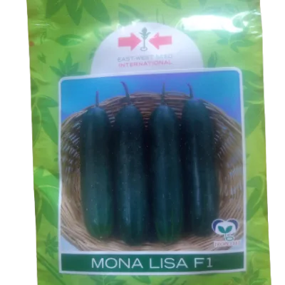 East West Mona Lisa F1 Cucumber (500 Seeds)