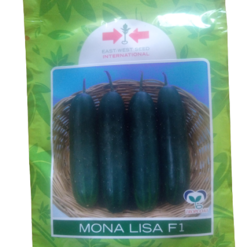 East West Mona Lisa F1 Cucumber (500 Seeds)