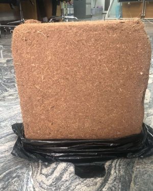Cocopeat Bricks (Buffered) | 5kg from HTS Farms