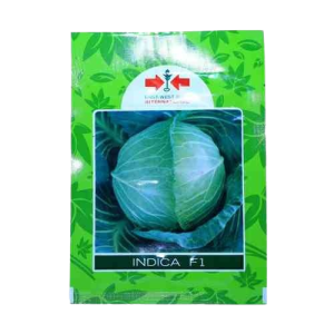 Indica F1 Cabbage Seed