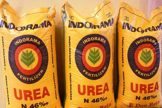 Indorama Urea Fertilizer | 50kg from HTS Farms
