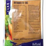 Introvit A + WS| 100g