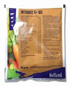 Introvit A + WS| 100g