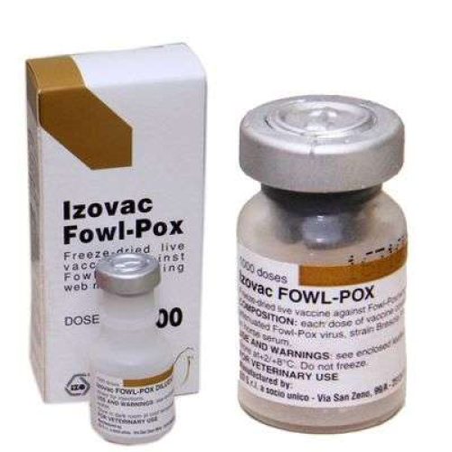 Fowl Pox Vaccine | 1000D