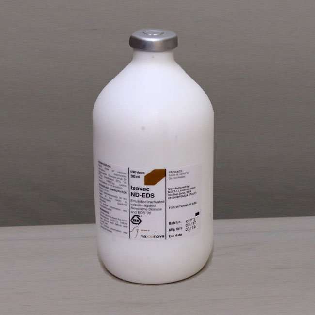 Izovac ND EDS Vaccine (+ Transport Flask)